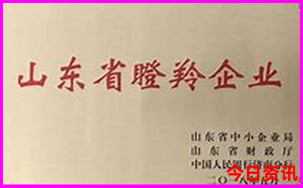 近期去哪里旅游合适